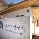 육오공 650cc 이미지