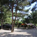 솔뜰캠핑장 이미지