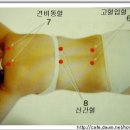 (8번-신간혈)신장,간,비만,만성피로,신부전초기,지방간,간염,몸붓는증세 이미지