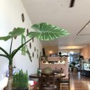 콜리송천점 이미지