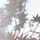 서울하늘치과의원 이미지