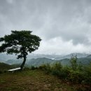 다원화학 이미지