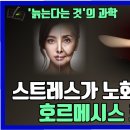 나이스팡