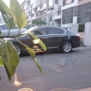 오로빌베이커리 이미지