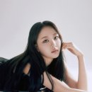 이브로 이미지