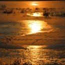 황금연못 이미지