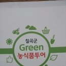 팔공여행사