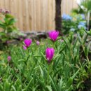 에이지하우스 키즈 이미지