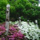 양지-3516 이미지