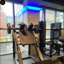 머슬메모리짐 이미지