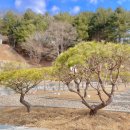 유일공원