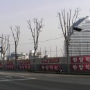 Sun Tree(썬 트리) 이미지