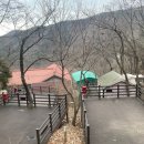 부산 근교 여행지 캠핑장 추천! 김해 신어산자연숲캠핑장 솔직 후기