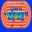 시계공인중개사사무소 이미지