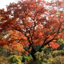 수산리-5 이미지