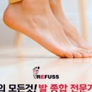 레푸스천안