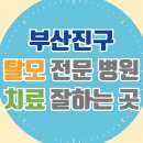 당감4동-4 | 부산진구 탈모 전문 병원 치료 잘하는 병원 List