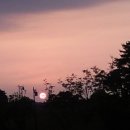 용기농장 이미지