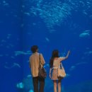 꽃에 반하다 | 넷플릭스 일본드라마 첫입에 반하다 4화까지 간단 후기