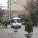 배성유치원 이미지