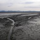 고흥의 하루 이미지