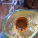 무감치킨 이미지