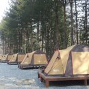 함평나비마을서울캠핑장 이미지