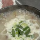 백마가든 - 제주시 중산간동로 347 | 백마가든