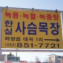 뒷골목장 이미지