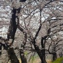 (주)동천상사