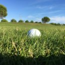 테크노 스크린골프 이미지