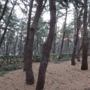 학동한옥펜션 이미지