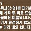 신우수산 이미지