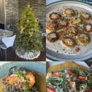 벨라쿠치나 이미지