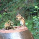 산일민박 이미지