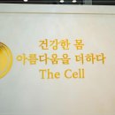 더셀에스테틱