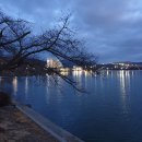 일성보문콘도미니엄 이미지