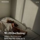 북쟁이 | 힐링 찾아 삼만Ling Ling~