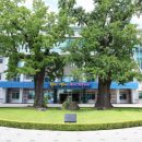 도원공원 내 이미지