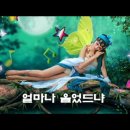 목포의 달밤 / 이미자 이미지