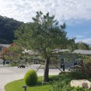 월송리CC IN 코스 이미지