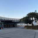 서노하우스 | (용인) 용인CC &amp; 용인컨트리클럽CC 노캐디 3인 4월 벚꽃 라운딩 후기 및 라운딩 준비물