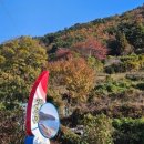 팔색조 펜션 이미지