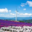 별과풍차 이미지