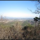 향단농장 이미지