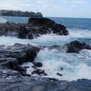 제주너른스테이 이미지