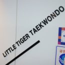 진영라온태권도장 이미지