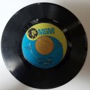 people puppy 이미지