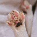 스튜디오산책 이미지