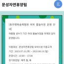 자연휴양림 깊은 물놀이장 이미지